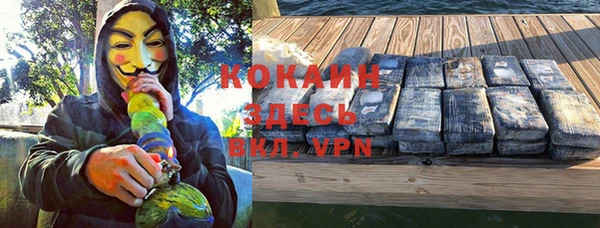 молекула духа Новозыбков