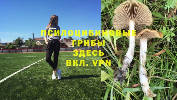 молекула духа Новозыбков