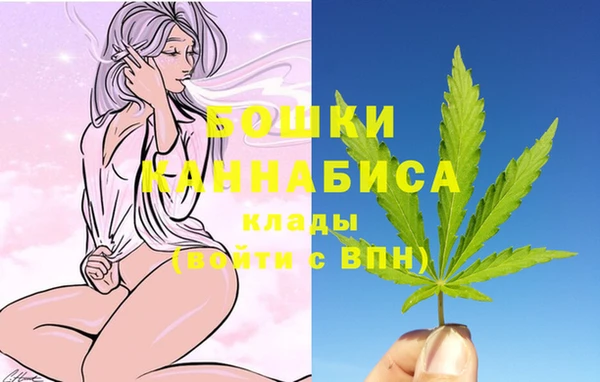 молекула духа Новозыбков