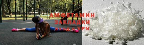 молекула духа Новозыбков