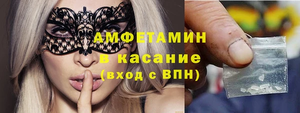 молекула духа Новозыбков