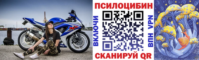 Купить где  Кировград  Галлюциногенные грибы Cubensis 